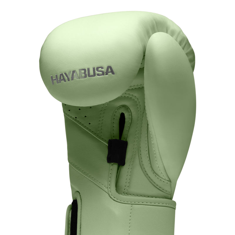 T3 Kanpeki Boxing Gloves