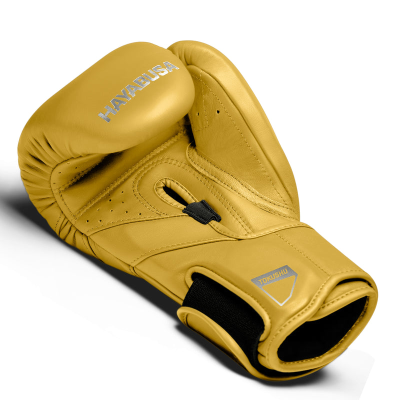 T3 Kanpeki Boxing Gloves